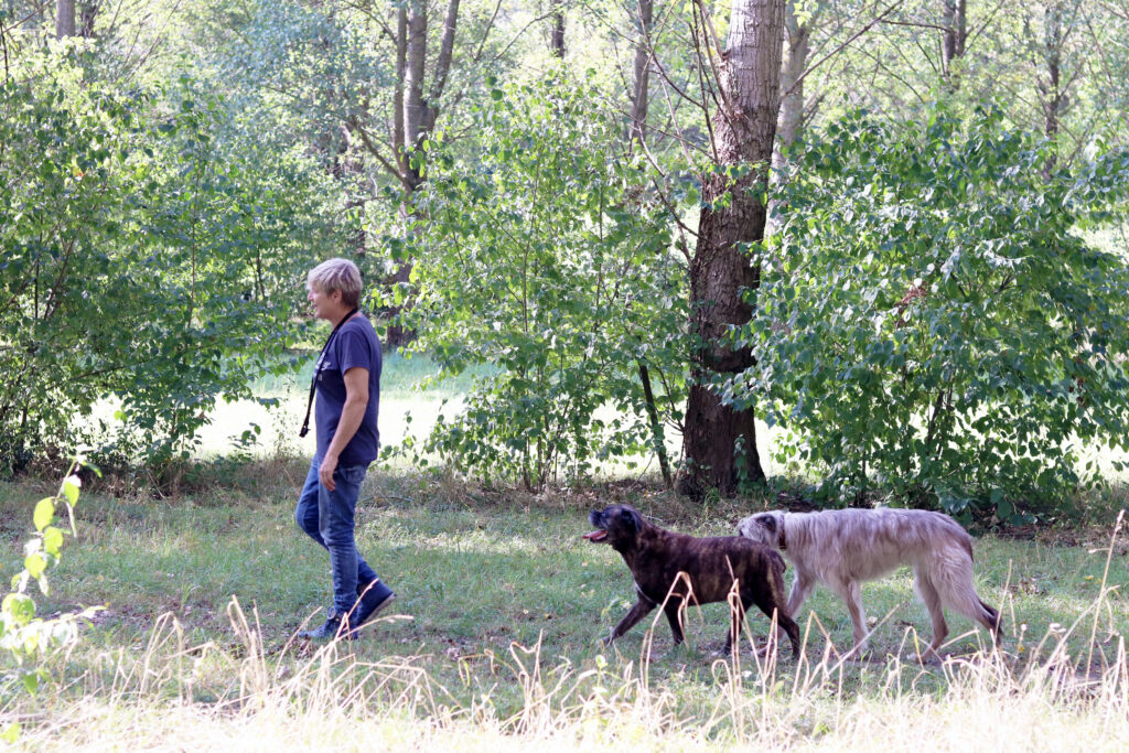 Rosie Lukas Hundetrainerin aus Köln